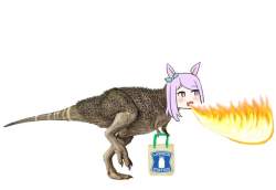 44096 B