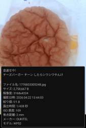 226645 B