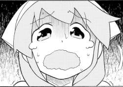 291273 B