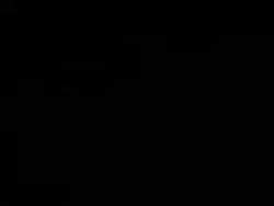 6637132 B