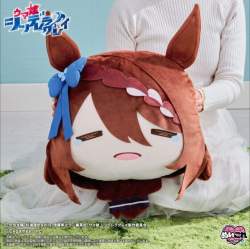 87314 B