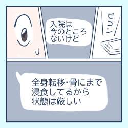86981 B