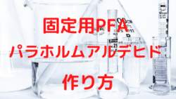 78567 B