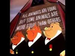 9141 B