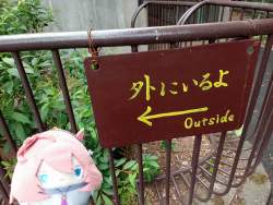 5181542 B
