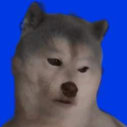 114559 B