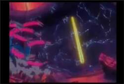 5591552 B