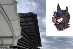 244499 B