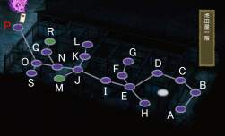 41655 B