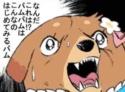 25698 B