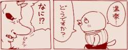 43593 B