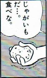 24972 B