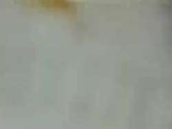 3321114 B