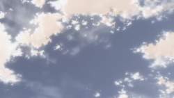 8087493 B