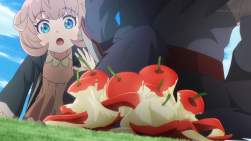 228495 B