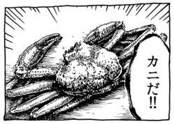 42164 B