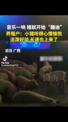 2158586 B