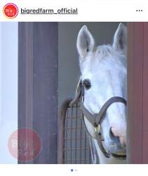 725382 B