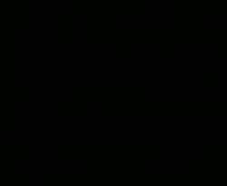 1554686 B