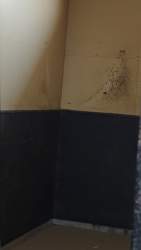 149642 B