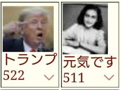 49795 B