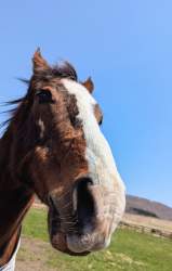 342063 B