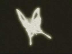 5244351 B