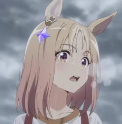 16088 B