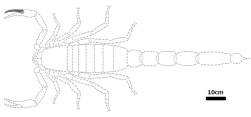 30561 B