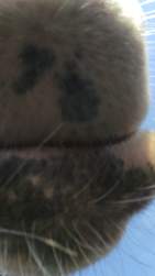 660671 B