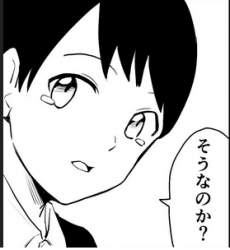 49562 B