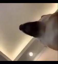 5755539 B