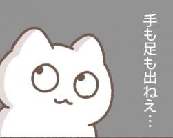 26544 B