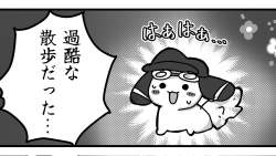 303065 B