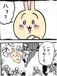 60463 B
