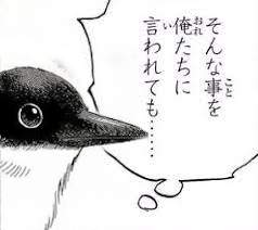 43071 B