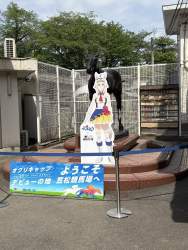 910298 B