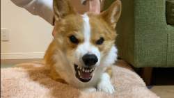 95916 B