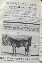 721081 B