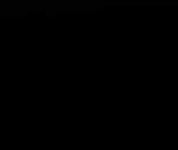 4911810 B