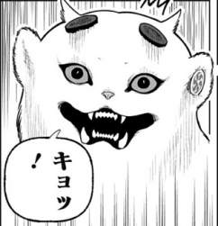 46508 B