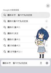 80902 B
