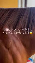 7078332 B