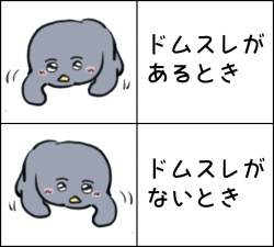 97855 B