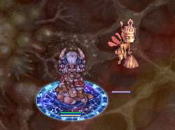 455506 B