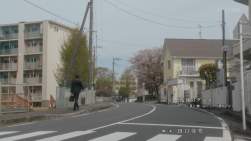 256834 B