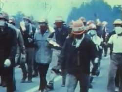 4908481 B