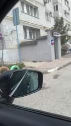 7577779 B