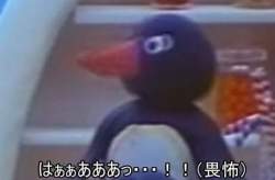13894 B