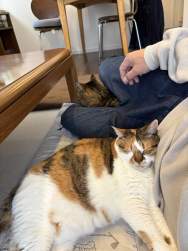 305033 B